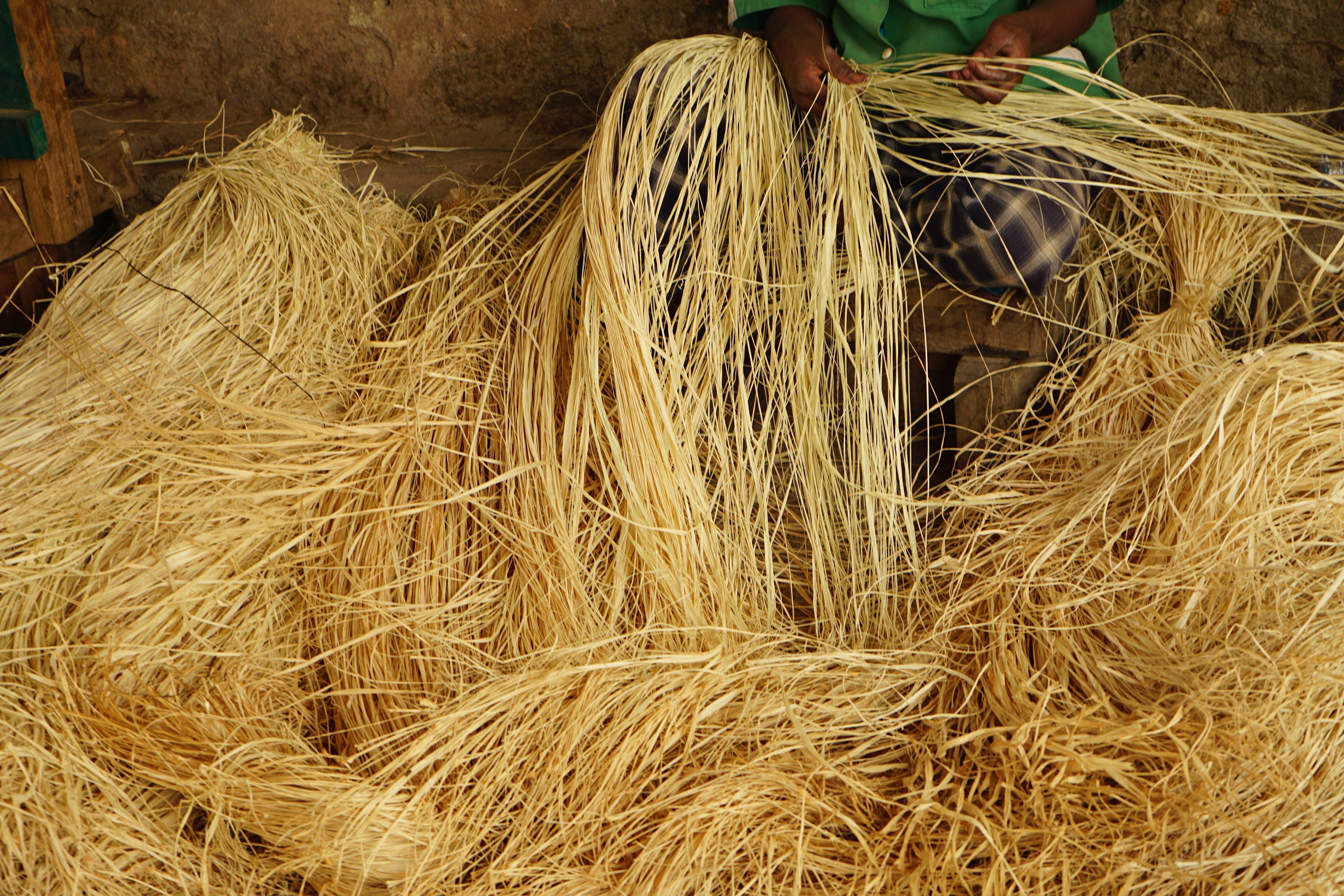 Artisan working with raffia in Madagascar